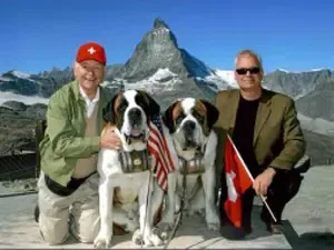 Dr. Diener & Friends — photo 5